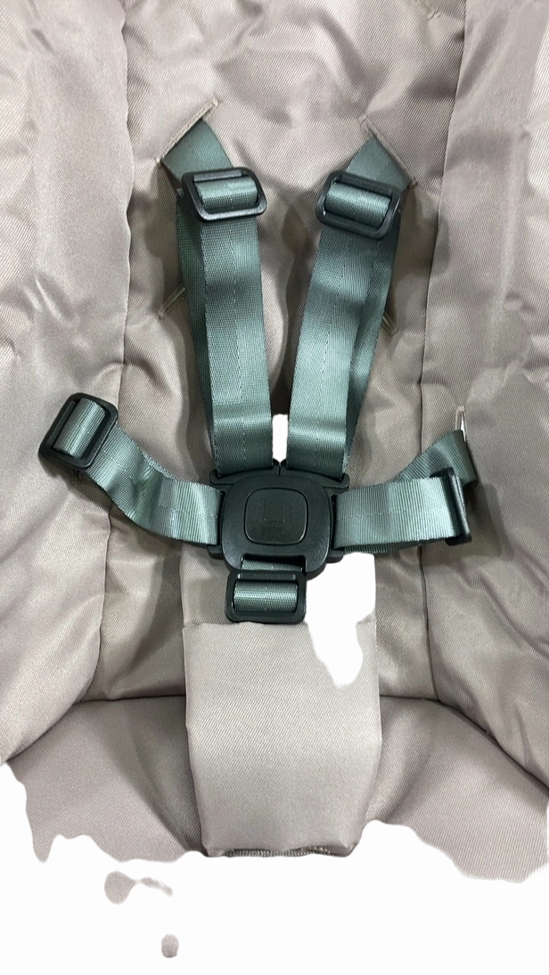 4moms MamaRoo Multi-Motion Baby Swing, Rosewood