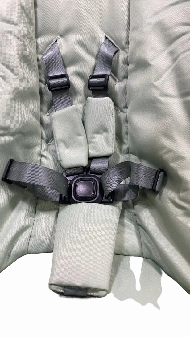 4moms MamaRoo Multi-Motion Baby Swing, Sage Limited Edition
