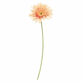 *Blooming Daisy Stem Dark Pink