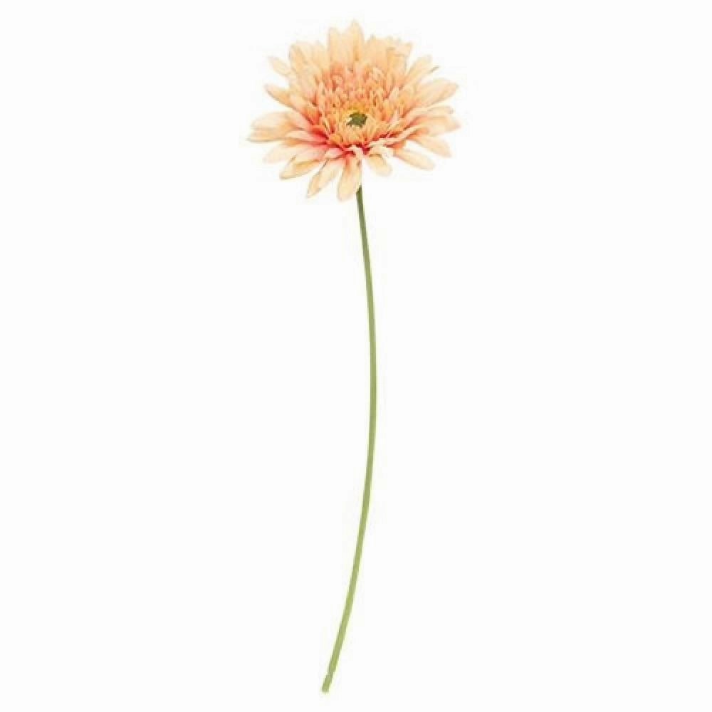 *Blooming Daisy Stem Dark Pink