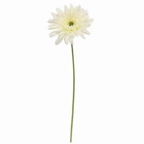 *Blooming Daisy Stem White