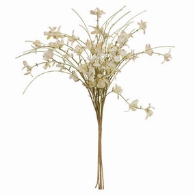 *Cream & Pink Star Forsythia Bush
