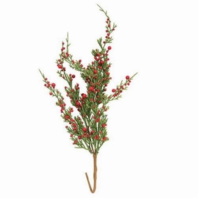 *Crimson Tidings Cedar Pick