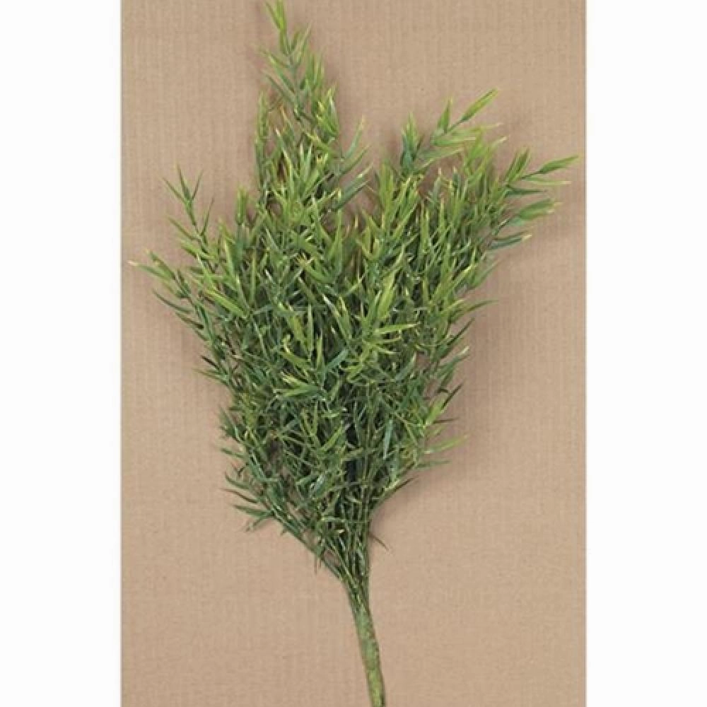*Dill Leaves Bush 15"