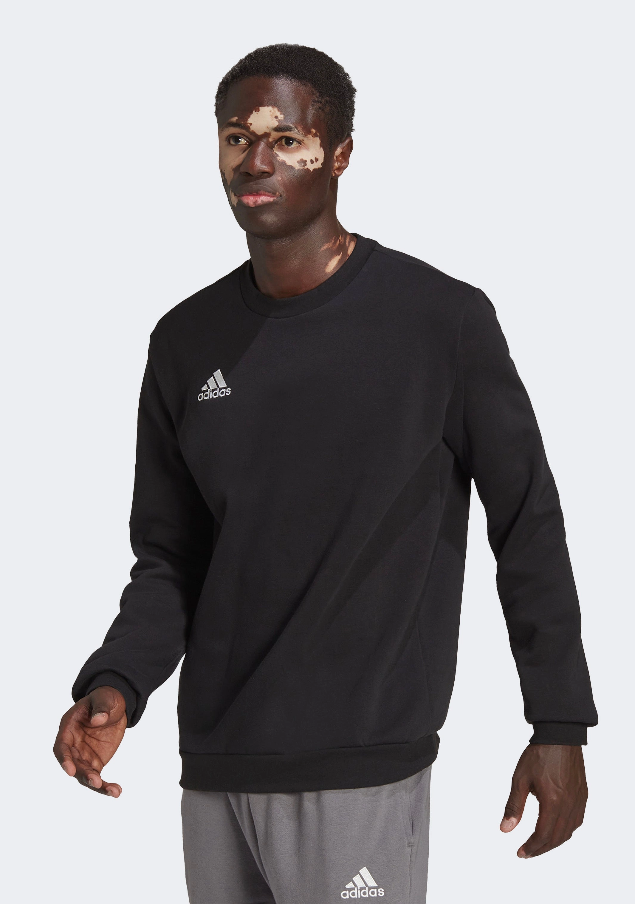 Adidas Men’s Entrada 22 Sweat Top