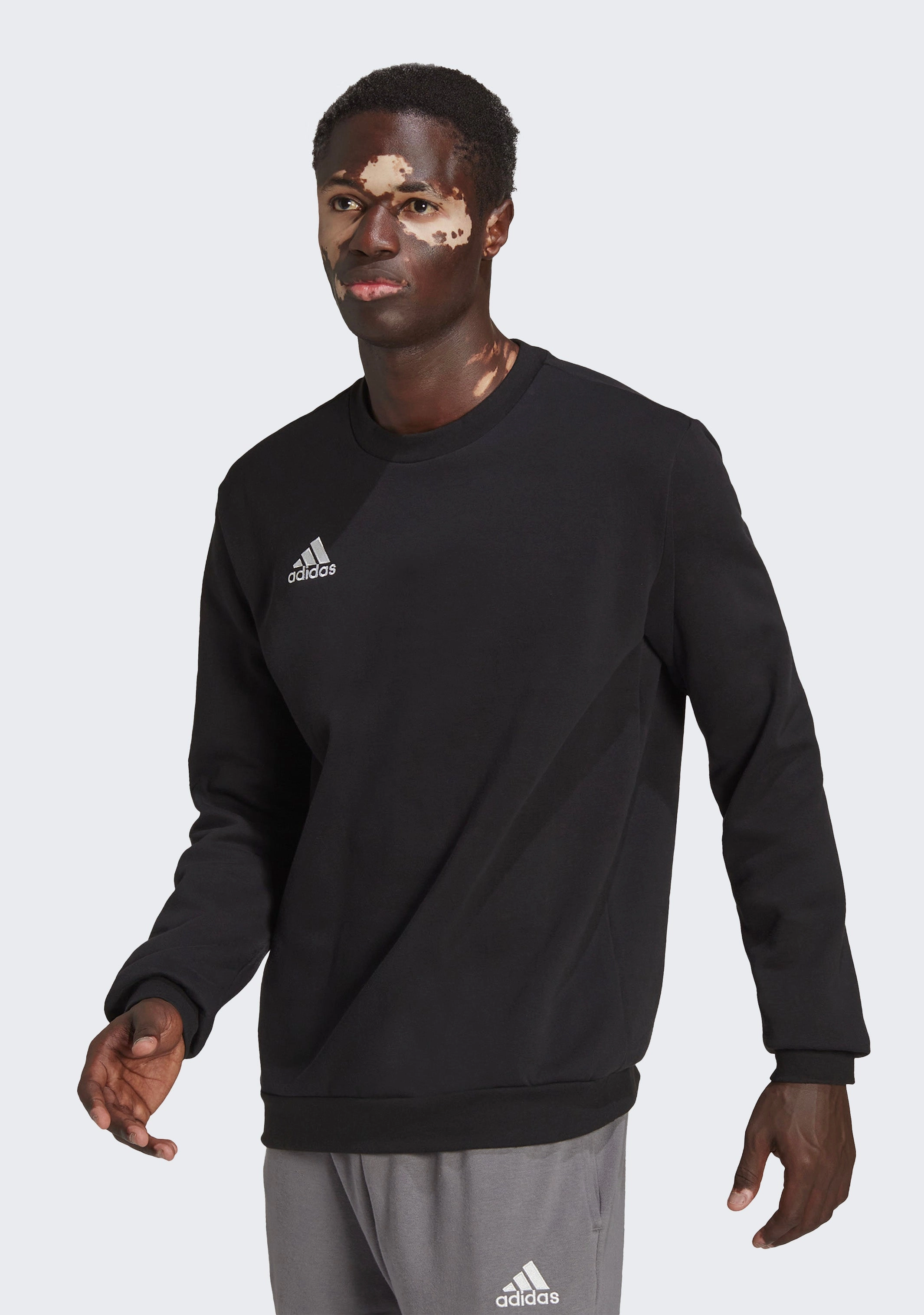 Adidas Men’s Entrada 22 Sweat Top