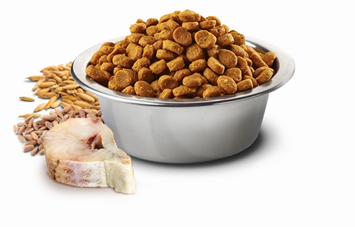Farmina Natural & Delicious Ocean Cod, Spelt, Oats & Orange Adult Mini Dry Dog Food