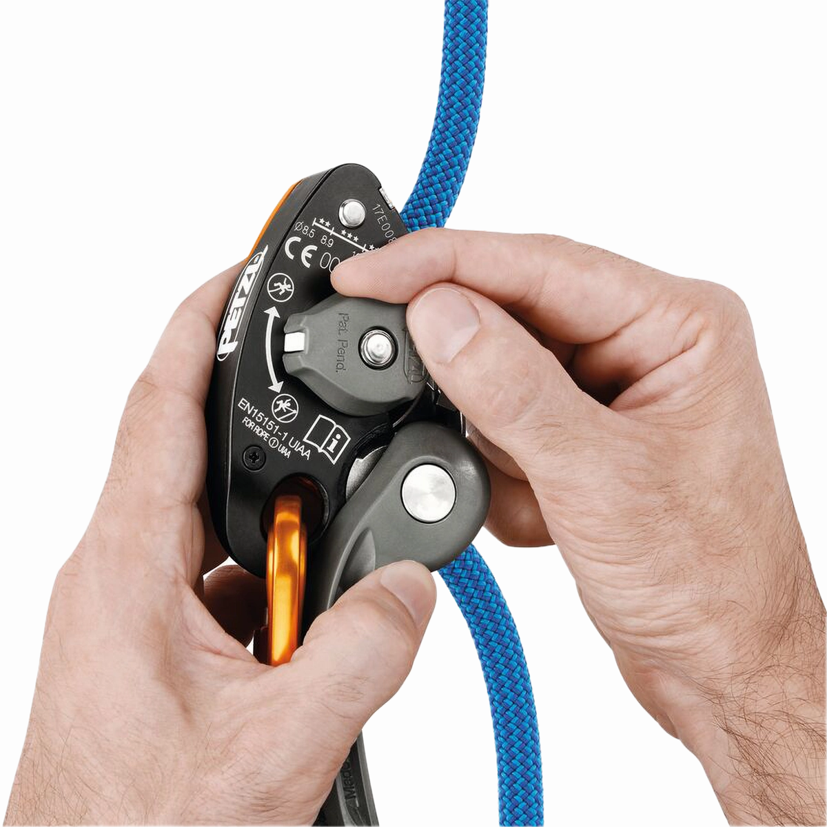 Grigri  