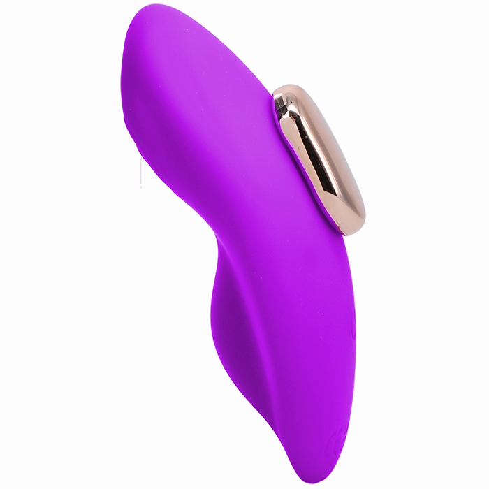 Magnetic Panty Vibe with Remote In a Bag