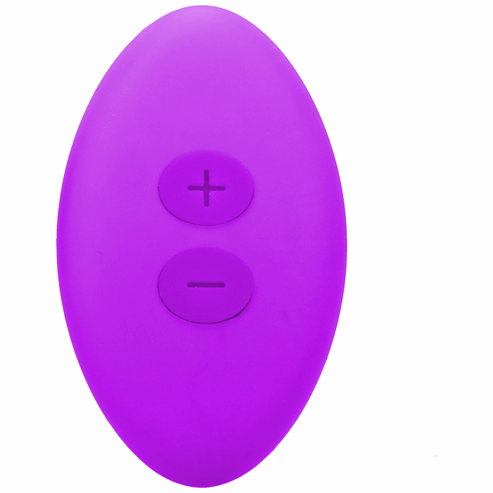 Magnetic Panty Vibe with Remote In a Bag