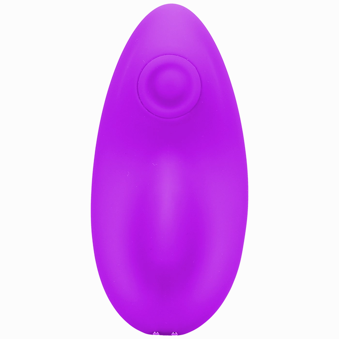 Magnetic Panty Vibe with Remote In a Bag