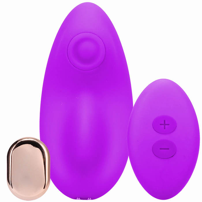 Magnetic Panty Vibe with Remote In a Bag