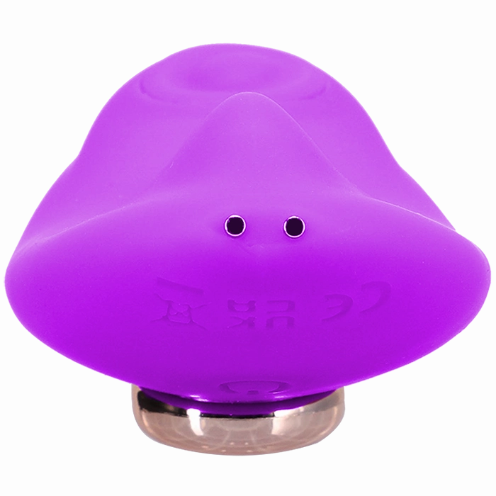 Magnetic Panty Vibe with Remote In a Bag