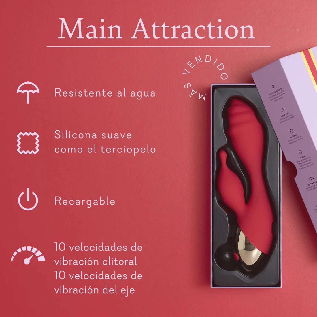 Main Attraction - BEST SELLER!