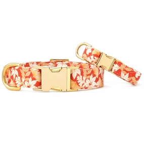 The Foggy Dog Collar - Autumn Leaves