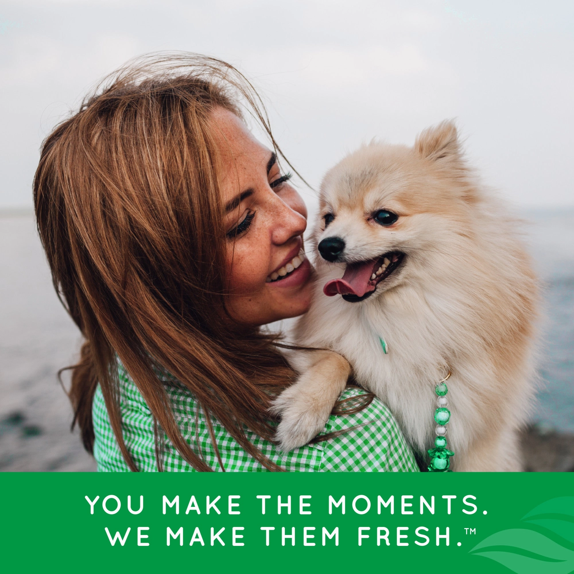 TropiClean Fresh Breath Oral Care Spray for Pets, 4oz